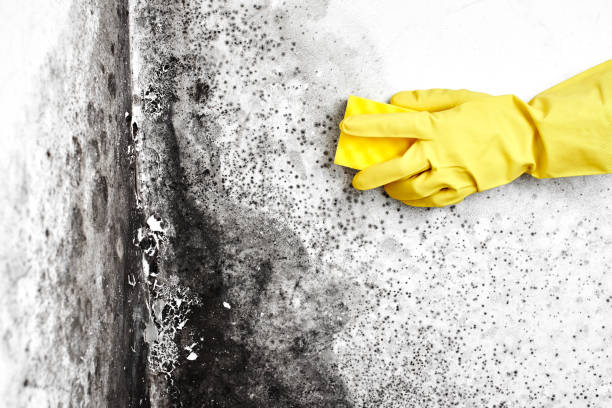Water Damage Restoration in Burton, MI