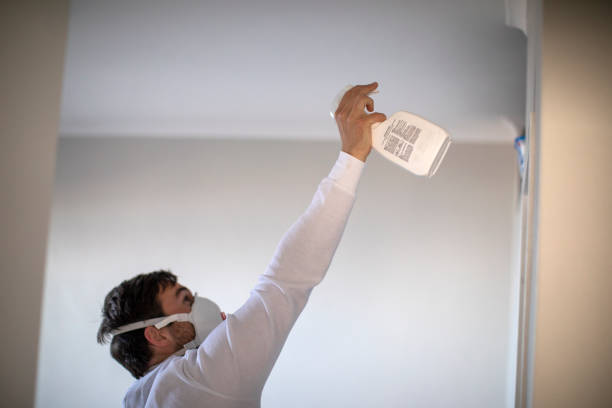 Best Mold Damage Repair  in Burton, MI