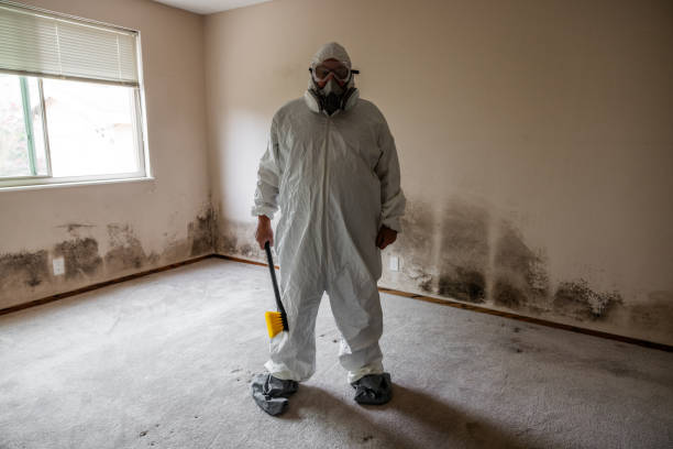 Best Residential Mold Removal  in Burton, MI